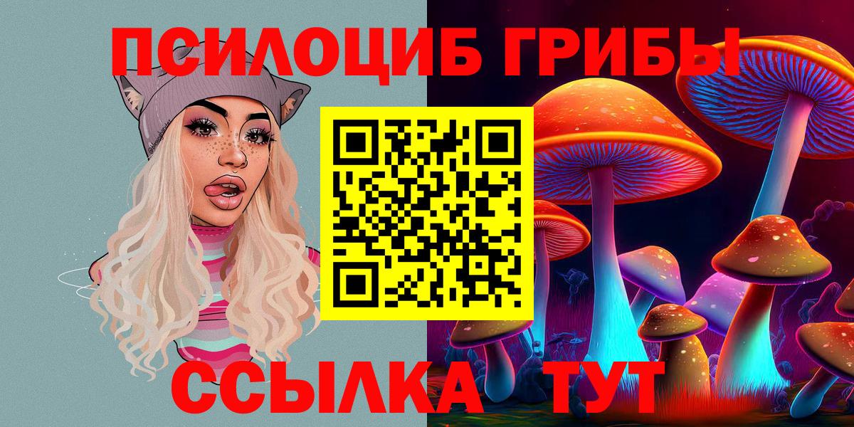 Михайловск  Псилоцибиновые грибы GOLDEN TEACHER  Вход с VPN  Галлюциногенные грибы Cubensis 