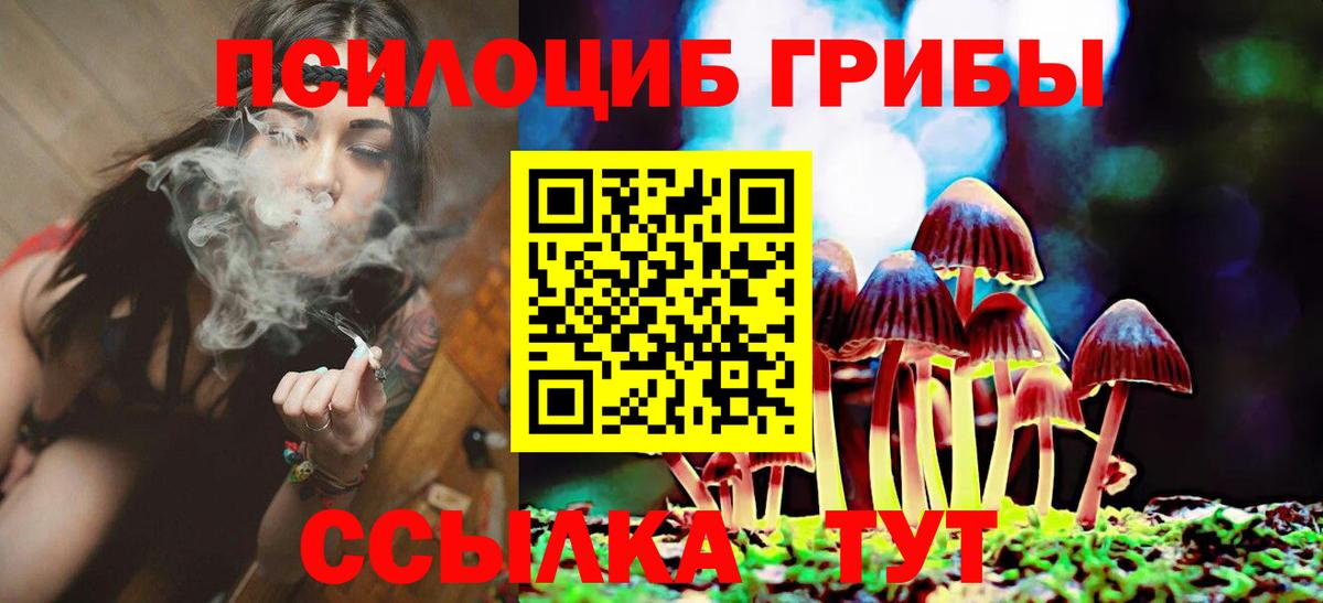 Галлюциногенные грибы MAGIC MUSHROOMS Михайловск